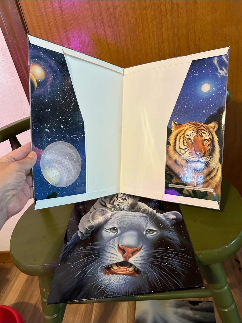 Tiger & Lion Cosmic Folder - White/Blue Decorative Portfolio